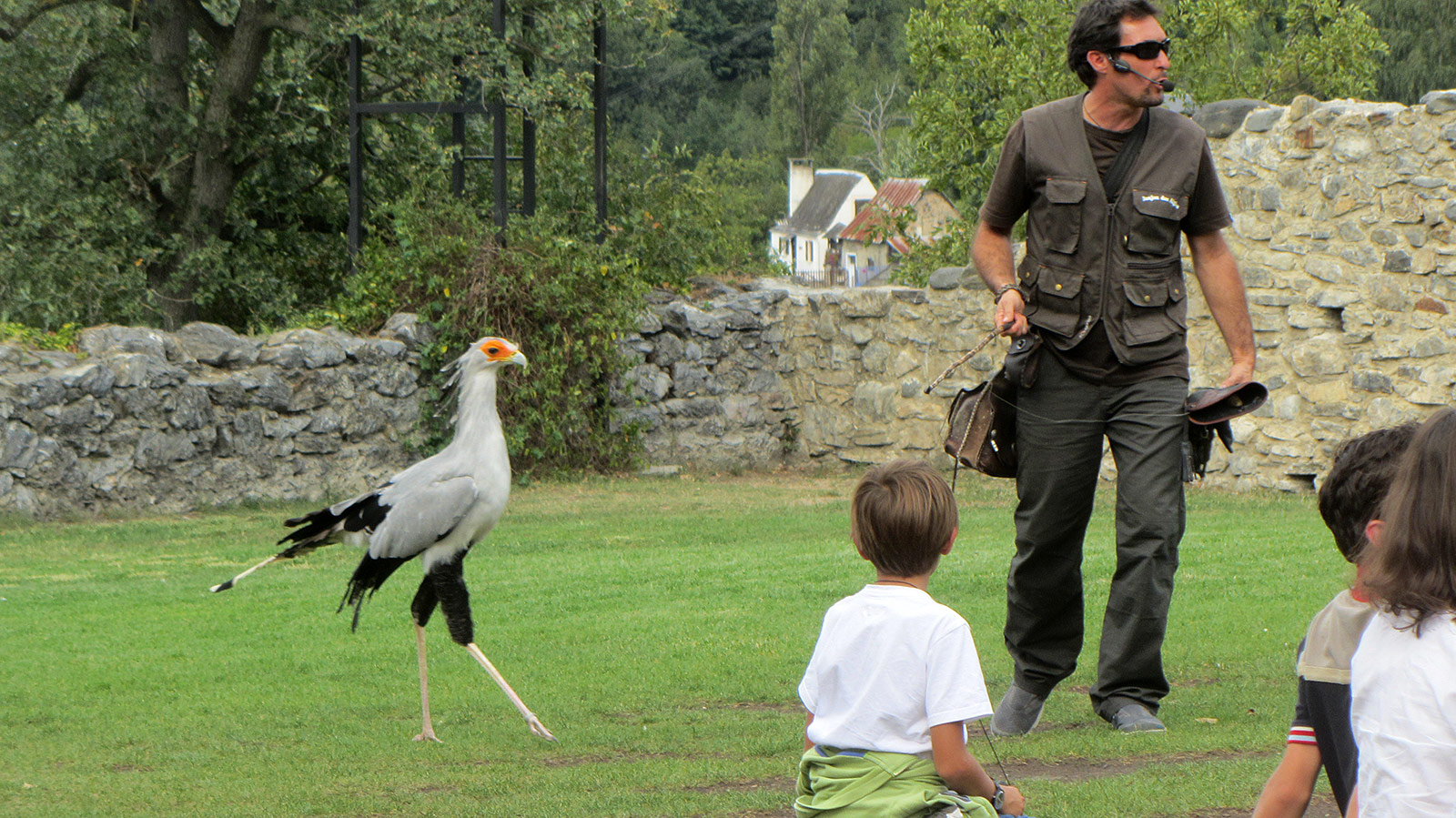 Donjon des Aigles, Beaucens